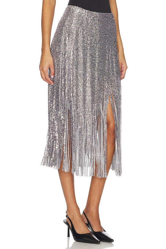 view 2 of 6 Sunbeams Skirt in Steel Grey