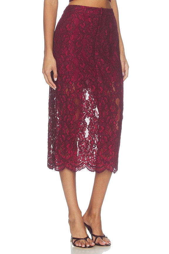 view 2 of 6 Osmond Lace Skirt in Compote