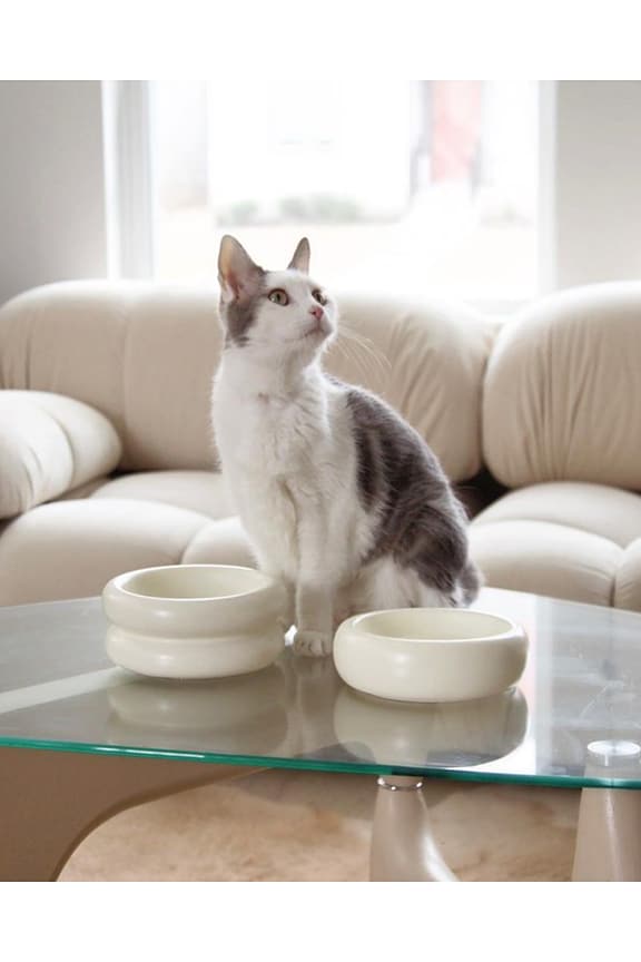 view 2 of 3 ELEVATED HALO PET BOWL ELEVATED HALO PET BOWL   in White