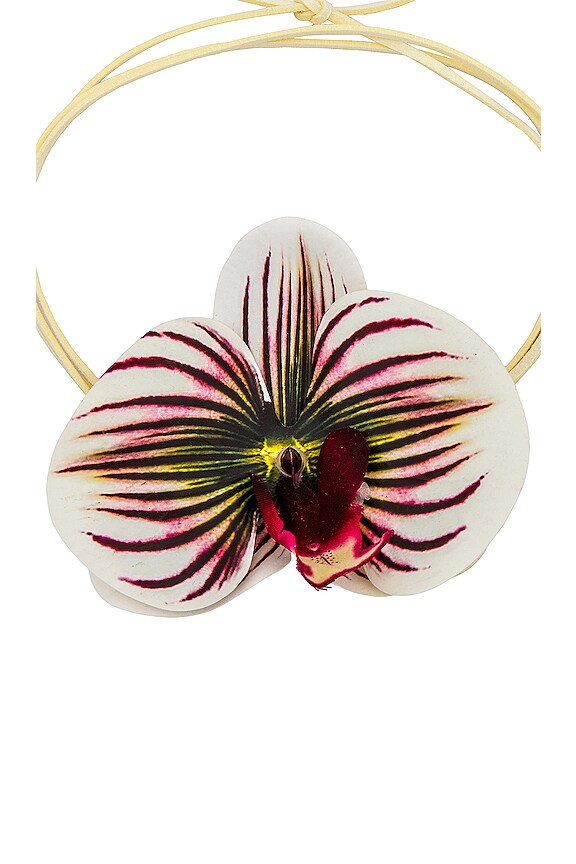 view 2 of 2 COLLAR ENVOLVENTE NANEA in Midsummer Floral