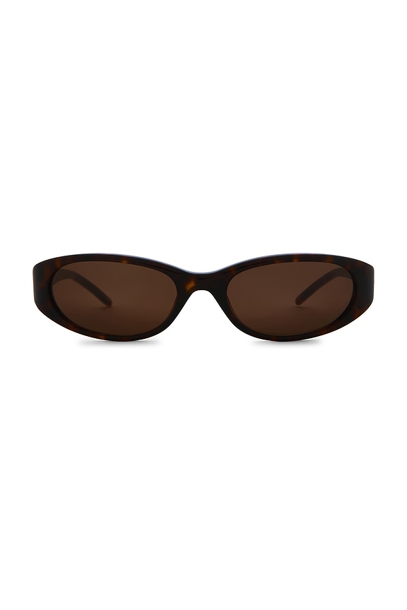 view 1 of 3 Dele Sunglasses in Terra Tortoise & Dark Brown
