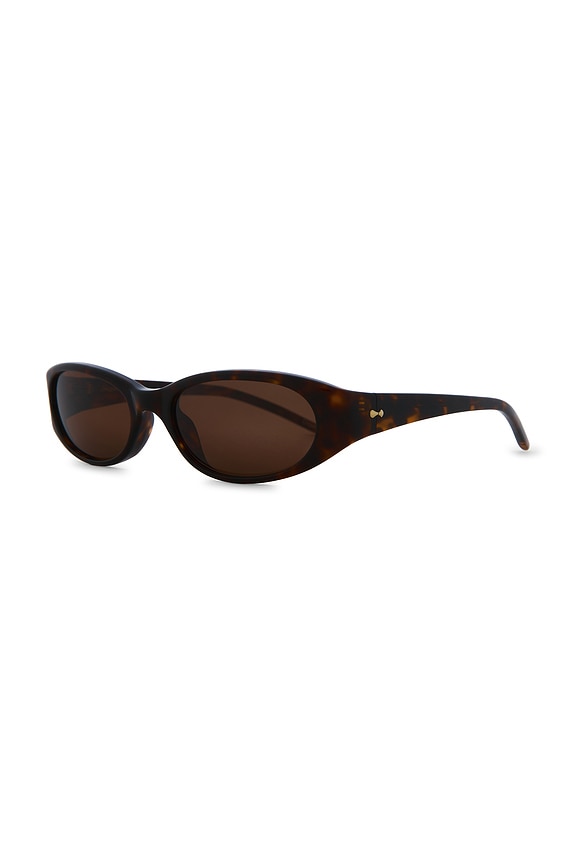 view 2 of 3 Dele Sunglasses in Terra Tortoise & Dark Brown