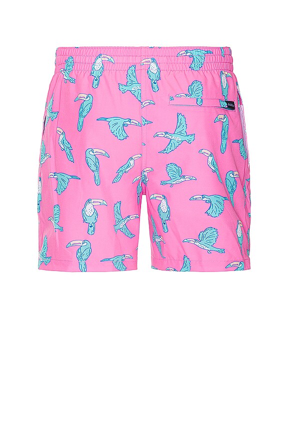 view 2 of 4 The Toucan Do Its 5.5