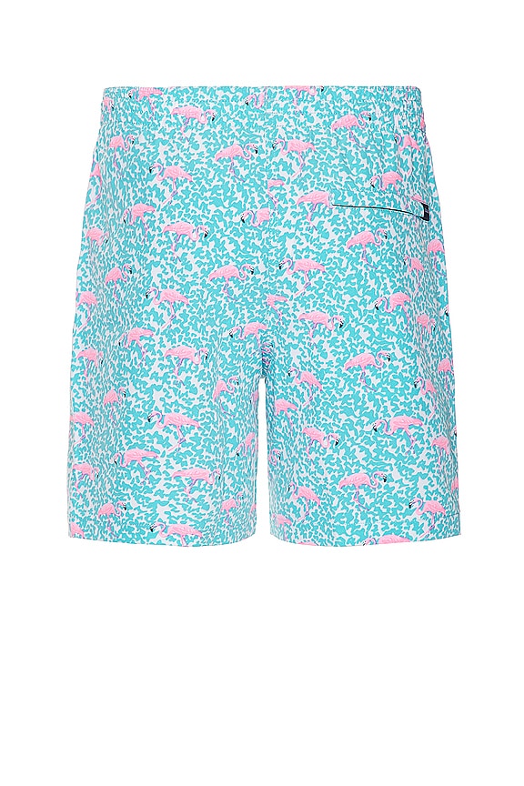 view 2 of 4 반바지 in Bright Blue