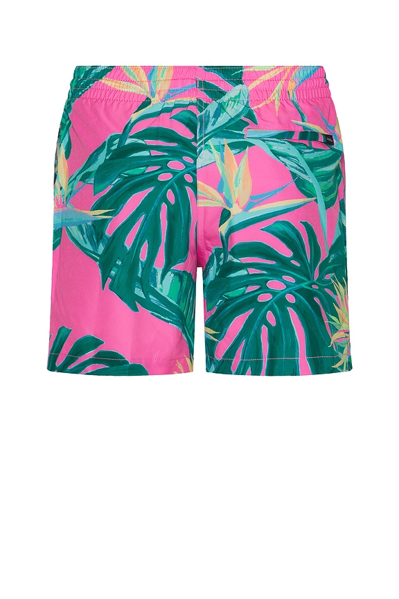 view 2 of 3 The Birds Of Paradise 5.5