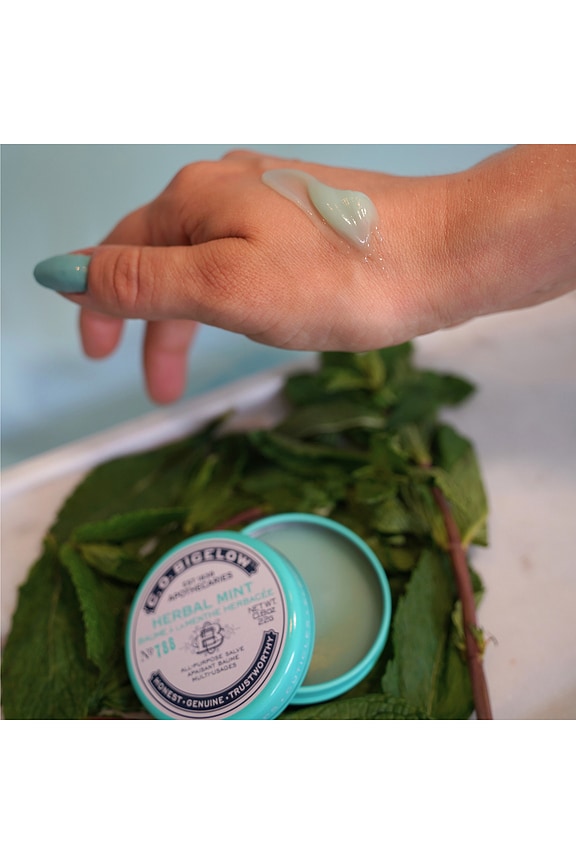 view 2 of 4 Herbal Mint Salve Tin in 