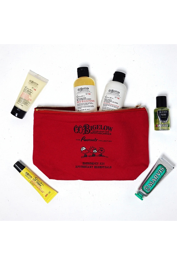 view 2 of 5 X Peanuts Emergency Kit Apothecary Essentials in 