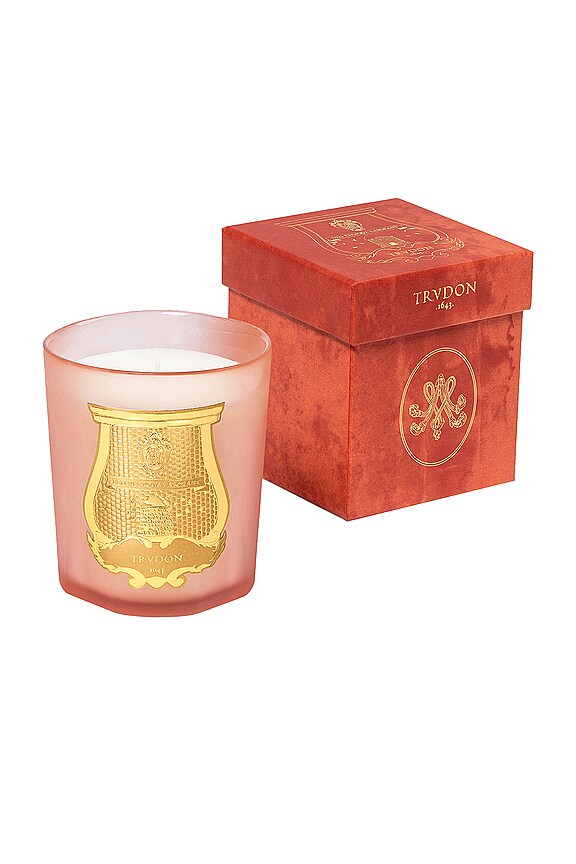 view 2 of 2 캔들 in Floral & Fruity Chypre
