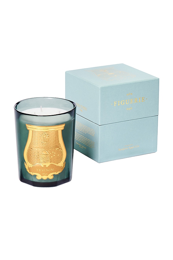 view 2 of 2 BOUGIE PARFUMÉE in White Fig, Patchouli, & Moss