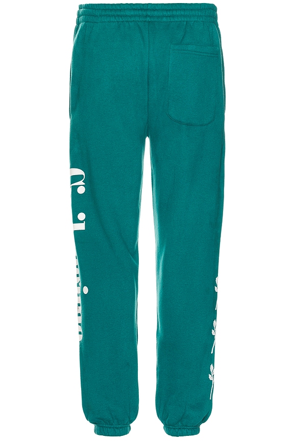 view 2 of 6 Regime Anarchy Cozy Jogger in Gotham Green