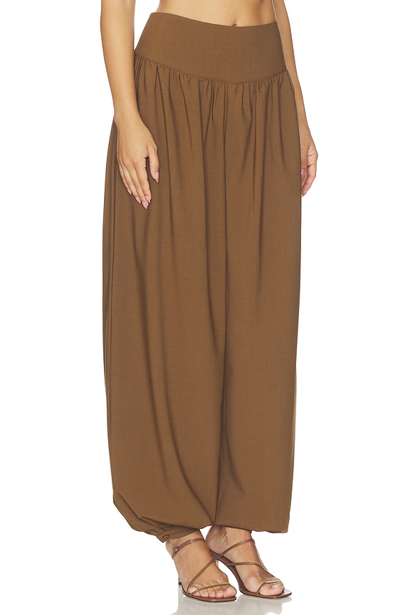 view 2 of 6 Heidi Trouser in Chestnut