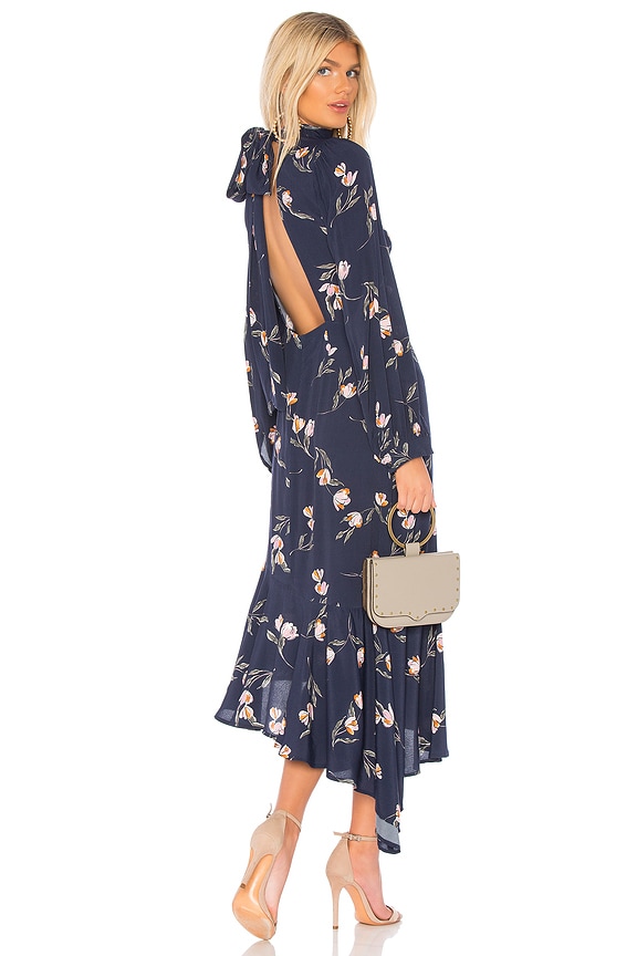 view 1 of 4 Brig Dress in Navy Tulip