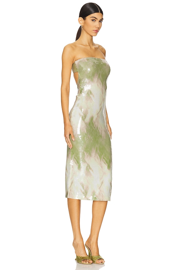 view 2 of 3 Alandra Midi Dress in Green & Beige