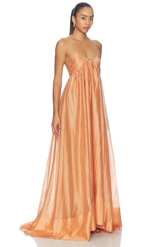 view 2 of 3 Anastacia Maxi Dress in Orange