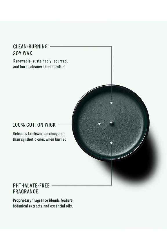 view 2 of 2 The Cassis Soy Wax Candle in 