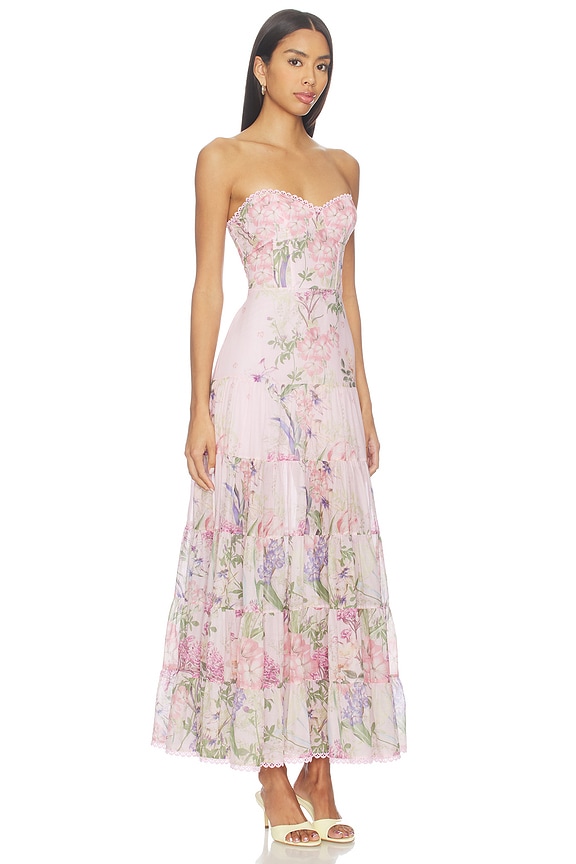 view 2 of 3 Danny Long Dress in Pink Botanic