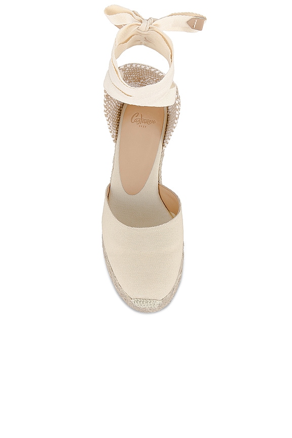 Carina Wedge