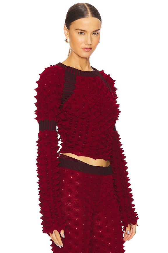 view 2 of 5 Spiky Rib Top in Red & Black