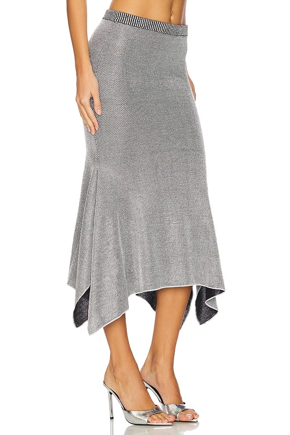 view 2 of 6 LUX レーススカート in Silver & Black