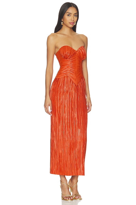 view 2 of 4 Ashika Dress in Canyon