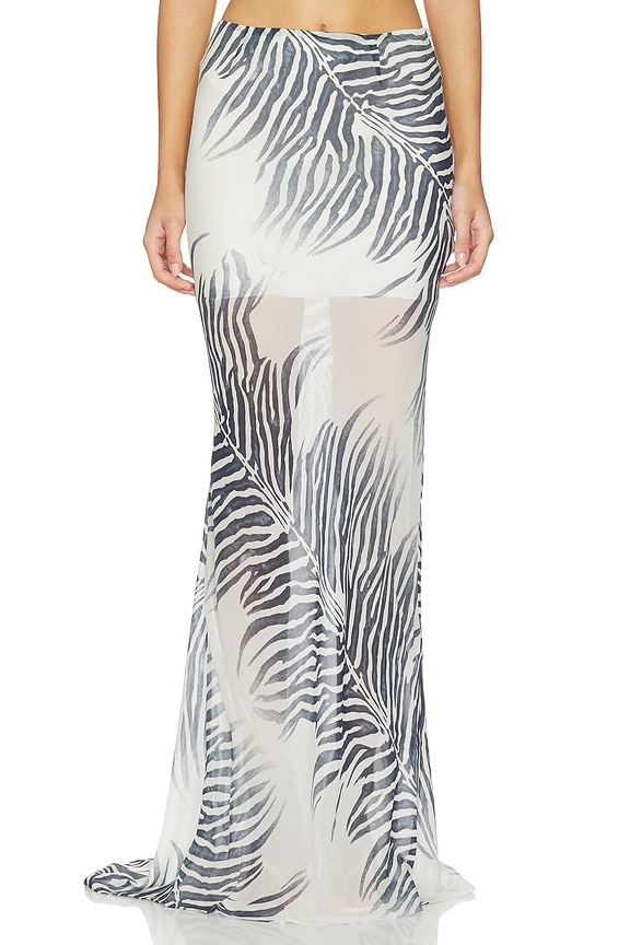 view 1 of 6 ROBE DIOSA in Zebra