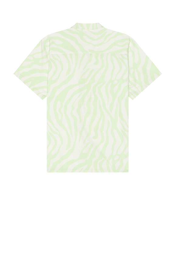 view 2 of 3 Zebra Shirt in Keylime