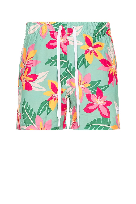 POOL OXFORD SWIM SHORT - CLOVER