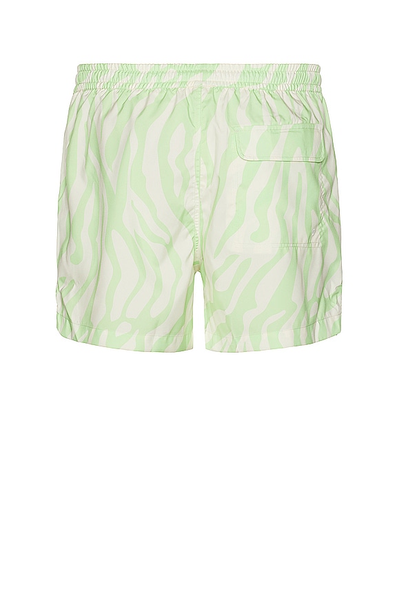 view 2 of 4 Zebra Swim Short in Keylime