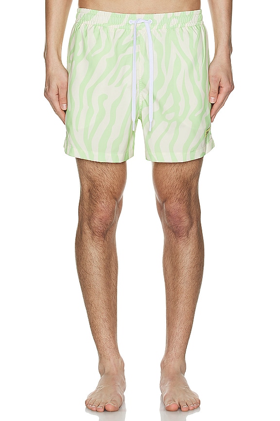 view 4 of 4 ZEBRA ショートパンツ in Keylime