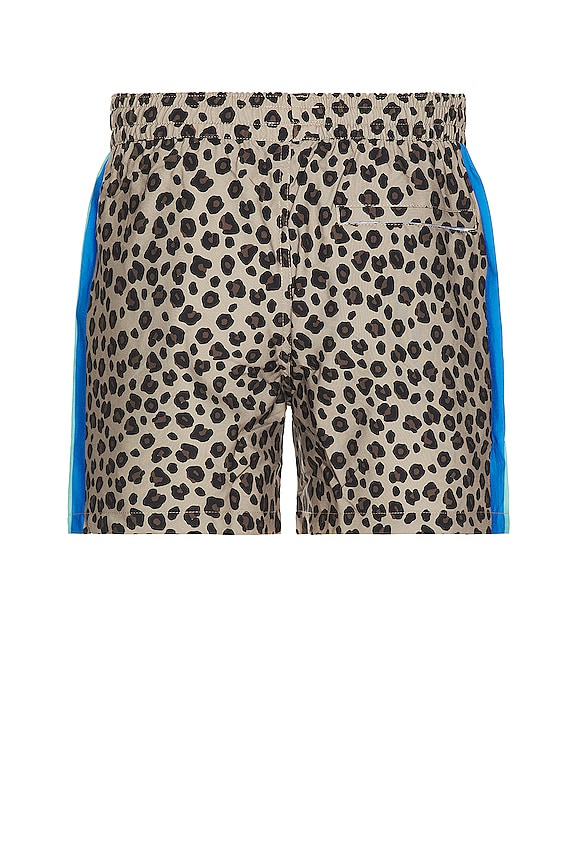 view 2 of 4 Cheetah Disco Swim Short in Black