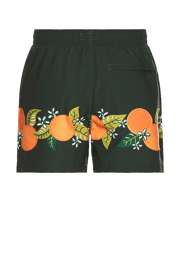 view 2 of 4 Tropical Orange Swim Short in Black
