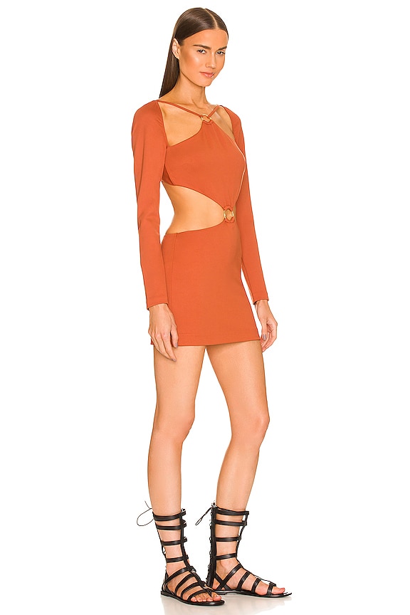 view 2 of 4 Jade Mini Dress in Rust