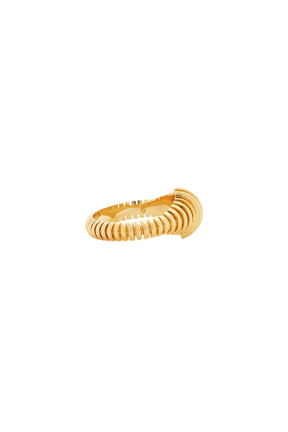 view 2 of 4 Discus Ring in Gold