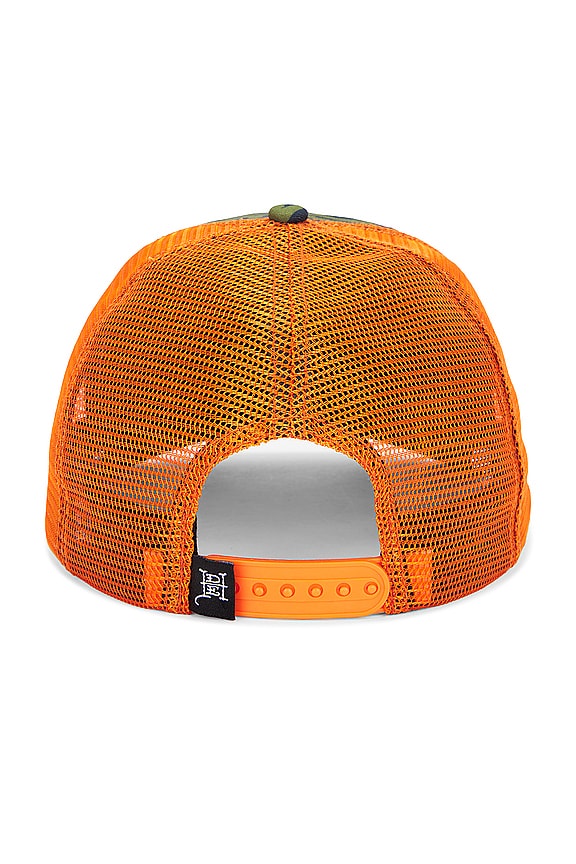 view 2 of 4 SOMBRERO SCREAMING TIGER in Orange & White