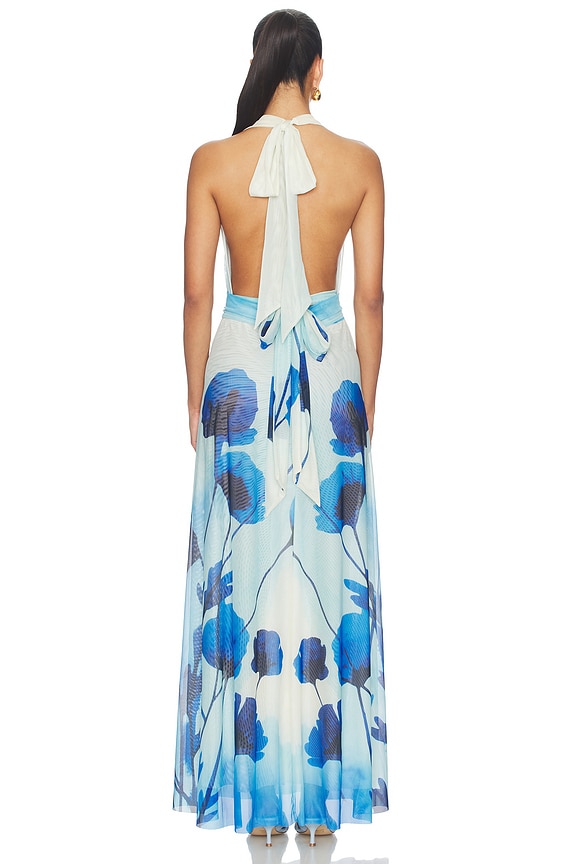 Micelia Long Dress