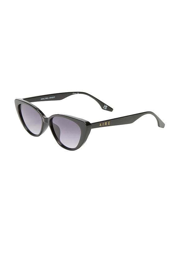 view 2 of 3 Amalthea Sunglasses in Black & Warm Smoke Gradient