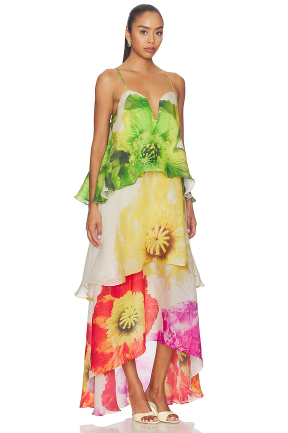 view 2 of 3 MAXIVESTIDO LILIA in Floral Multi