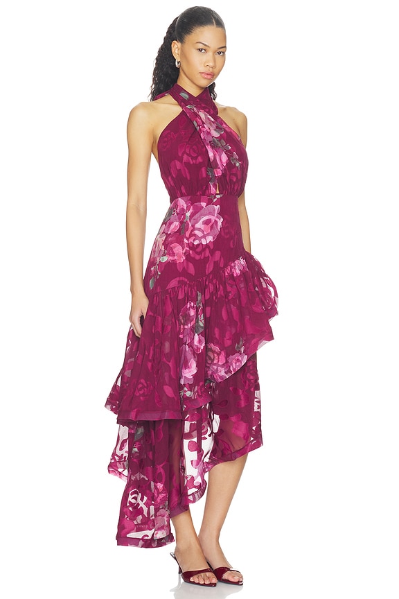 view 2 of 4 Eleanora High Low Maxi Dress in Raspberry Mult