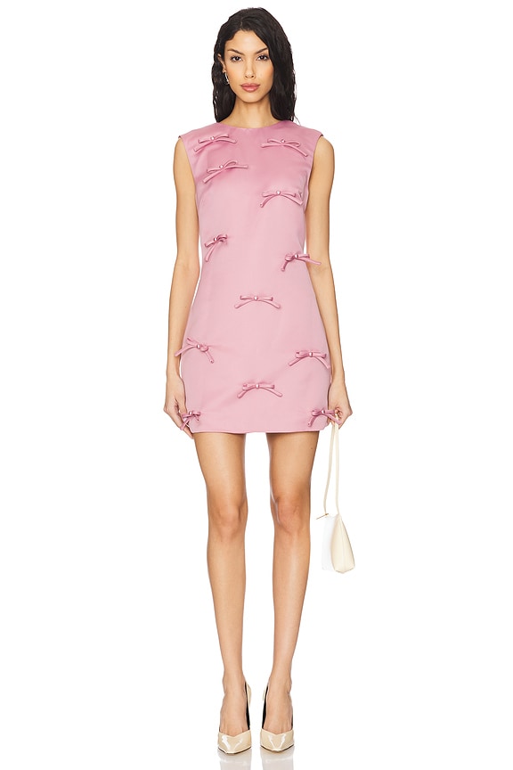 view 1 of 4 Rose Dress in Blush