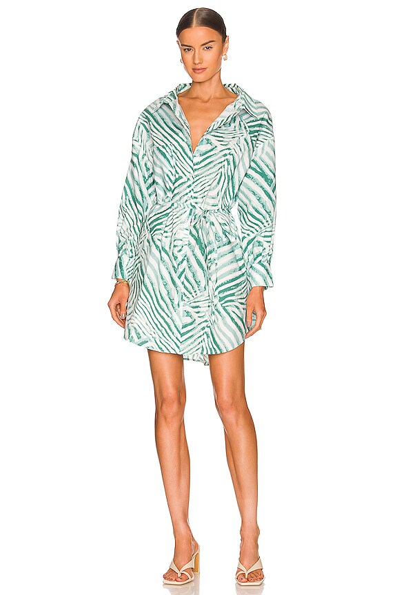 view 1 of 3 BREE ドレス in Pine Zebra