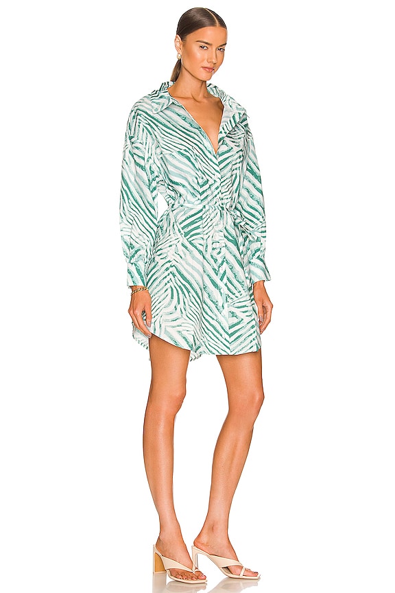 view 2 of 3 BREE ドレス in Pine Zebra