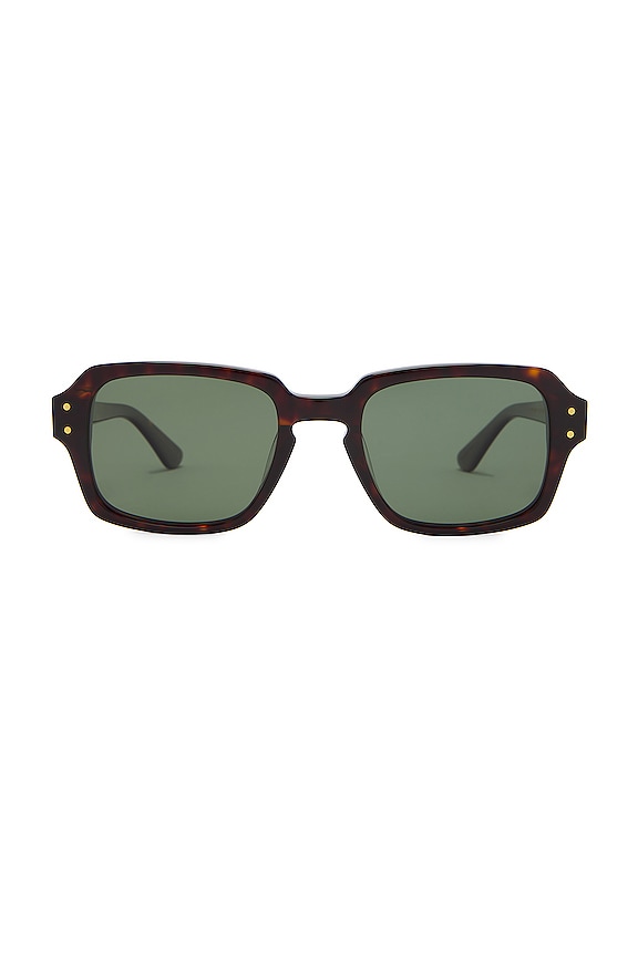 view 1 of 3 Wilson Sunglasses in Tortoise Polished & Green Polarized
