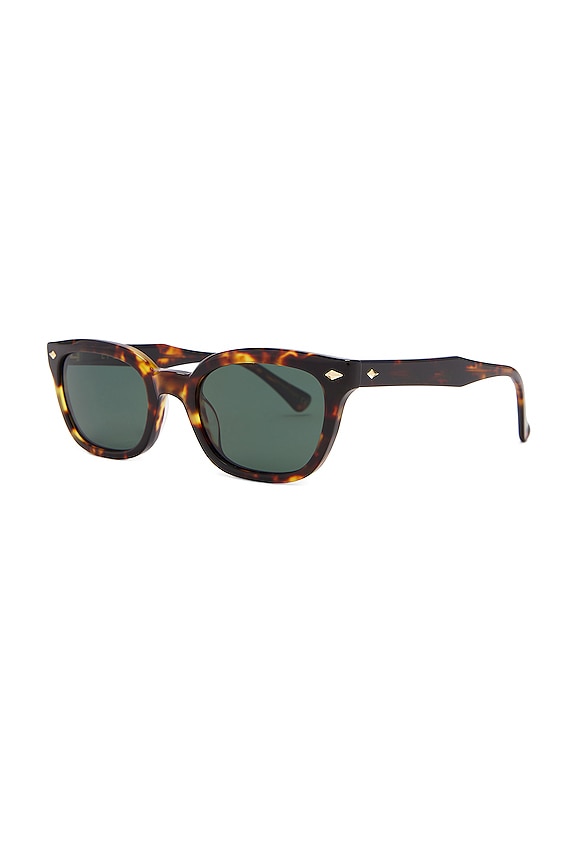 view 2 of 3 GAFAS DE SOL in Tortoise Polished & Green