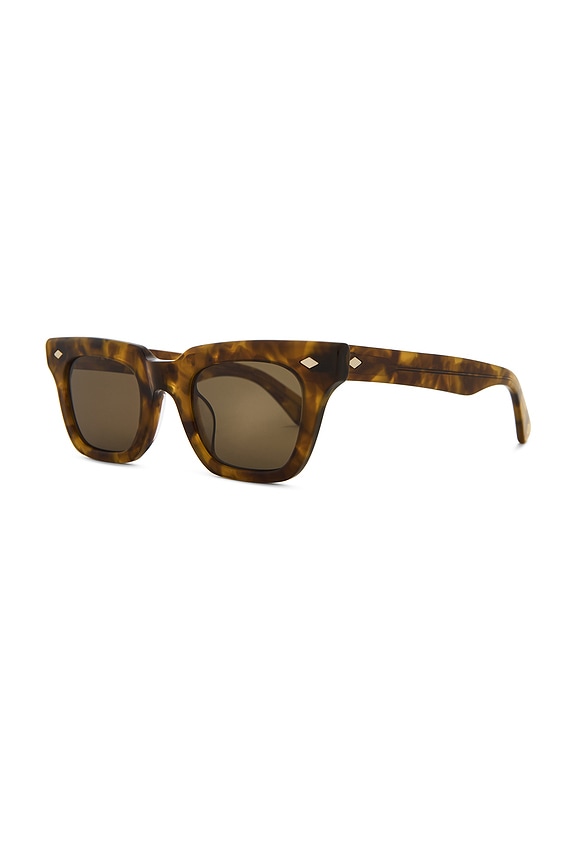 view 2 of 3 GAFAS DE SOL STEREO in Light Tortoise Polished & Brown Polarized