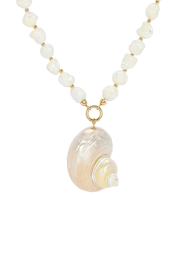 view 2 of 2 Sunken Treasure Shell Necklace in Gold