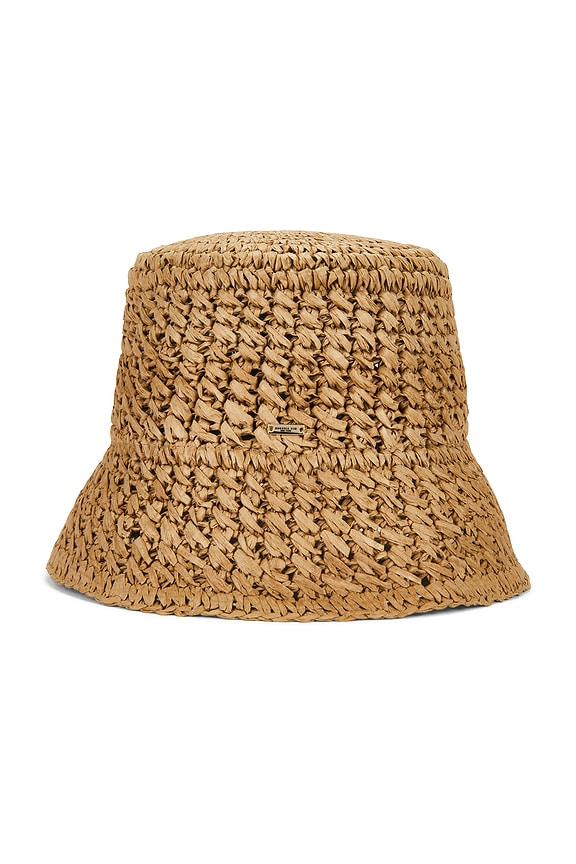 view 2 of 2 BOB JONAH in Camel