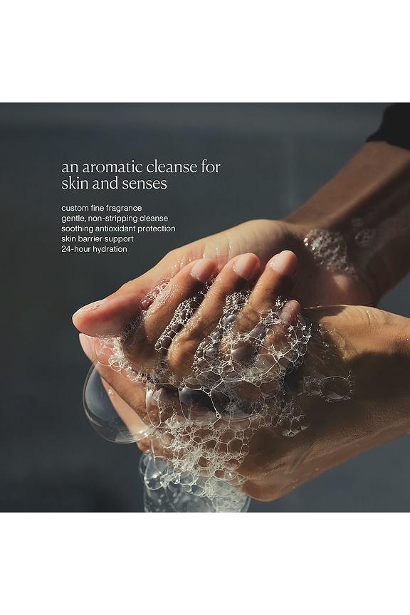 view 2 of 6 Restorative Hand Wash in Taormina