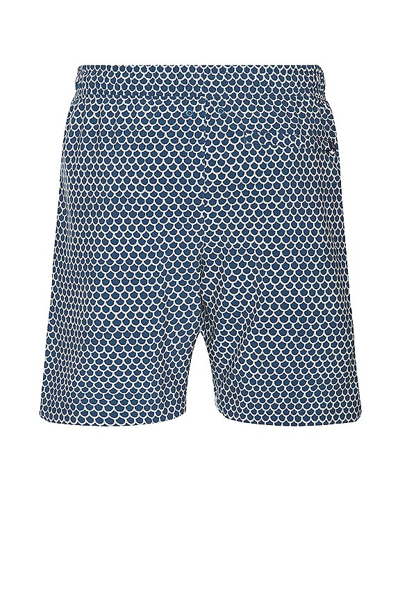 view 2 of 3 Shorelite Trunk in Fishscale