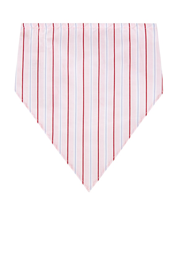 view 2 of 2 PAÑUELO LUCIA in Fiori Stripe Palazzo