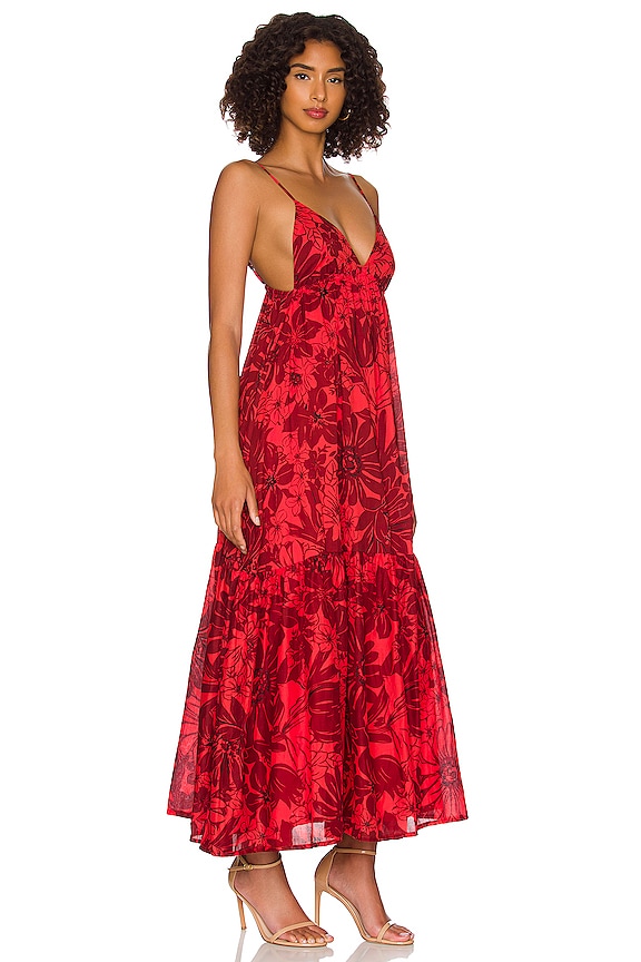 view 2 of 3 Anisha Maxi Dress in Zani Floral Print